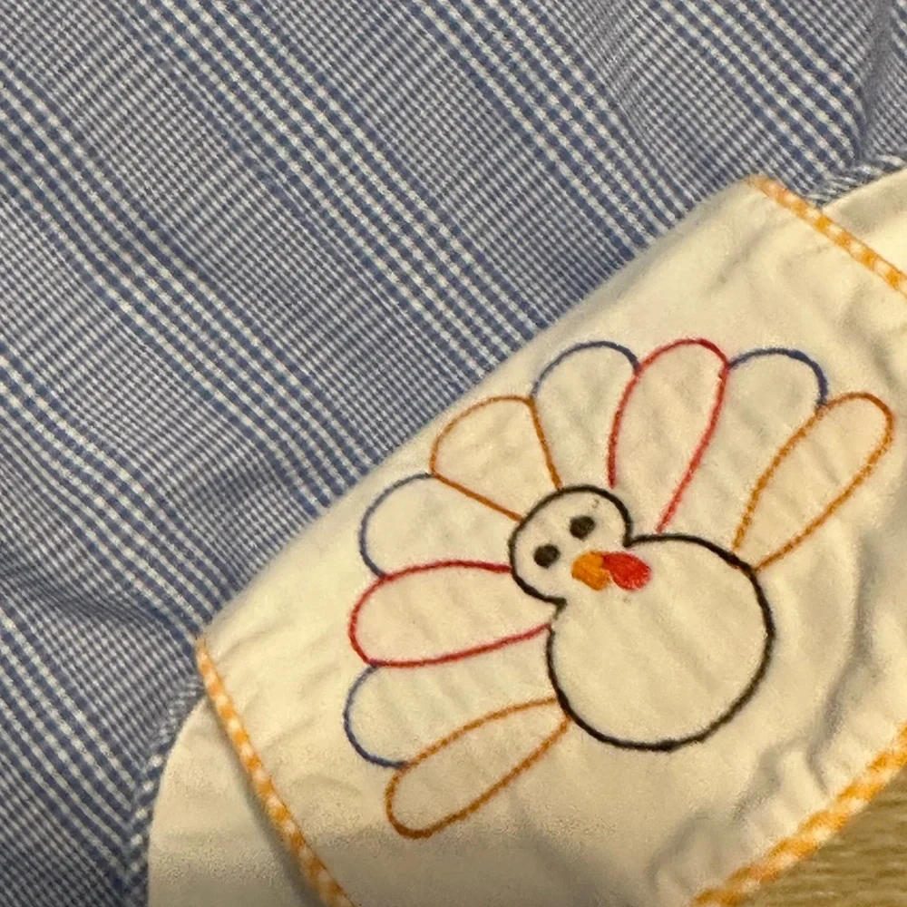 Shrimp and grits pumpkin/turkey dress - Picture 3 of 6